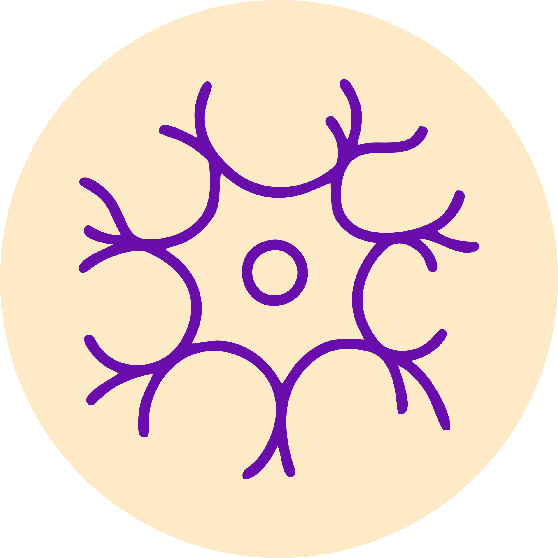 Neurosurgery & Spine